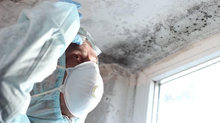 Best Comprehensive Air Testing for Mold Contaminants  in Jennings, MO